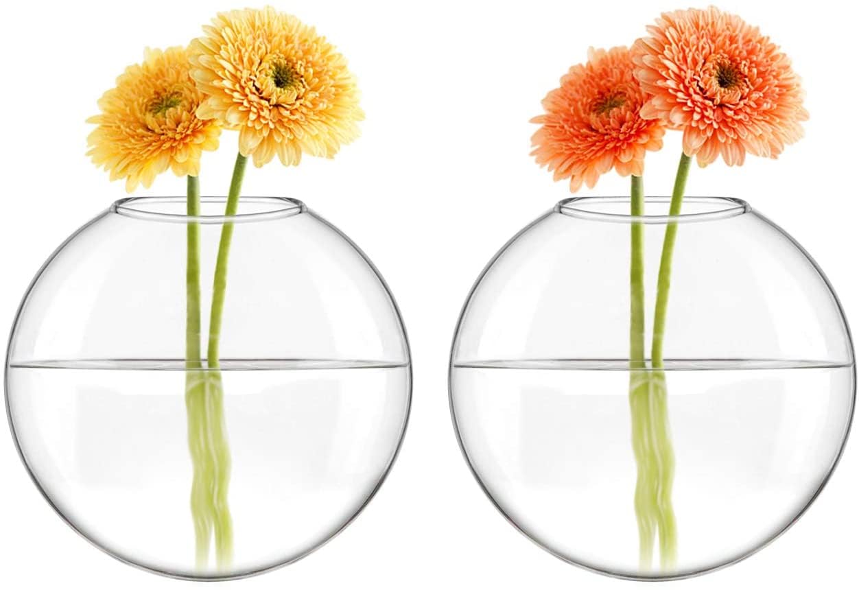 Mkono Wall Hanging Planter Propagation Station Glass Flower Vase for Hydroponics Plants, Bathroom, Home Office Living Room Decor Gift, Oblate Set of 3(Plants not Included)