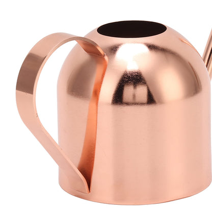 Phefop Watering Can, Stainless Steel, Large Capacity for Indoor Outdoor Plants, 1 Gallon Mini Can for Bonsai and Houseplants