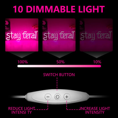 Stay Feral Neon Sign for Wall Decor Feral Led Sign Gothic Decor Dark Art Neon Light Signs Bat Light Up Sign for Bedroom Girl Goth Lover Halloween Decoration