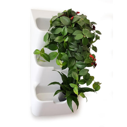 BOXSAND-6 (12"x26") Living Wall - Wall Planter, Vertical Garden for 6 Plants, Indoor/Outdoor, 2 Screws Install (White)