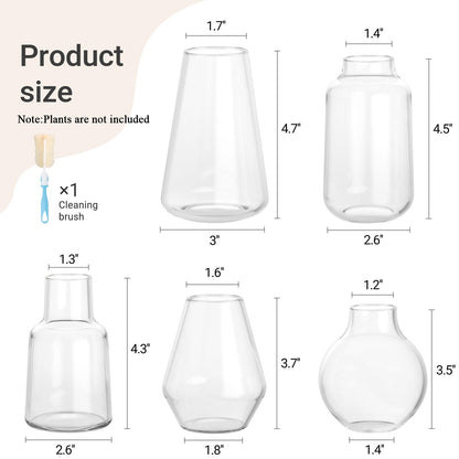 Mkono Propagation Vases for Plants, Set of 5 Small Glass Jar Planters for Hydroponic Cutting Flowers, Plant Station Bud Vases for Centerpieces Home Office Decor Gift