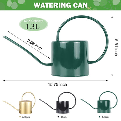 Lechloris Indoor Watering Can for Houseplants - Long Spout Metal Watering Can for Indoor Plants,Succulents or Outdoor Garden Flower, 1.3L / 40 oz Green