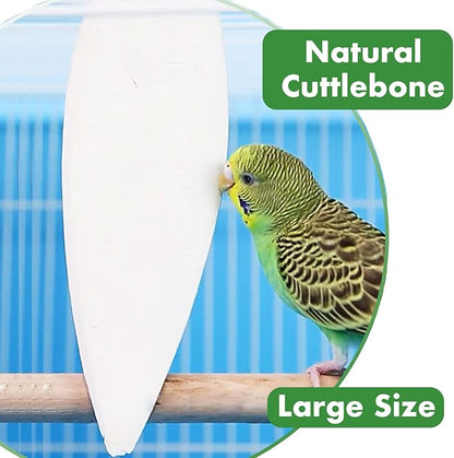 2 Pack Big Cuttlebones for Birds Parakeets Cockatiels African Greys All Parrots Tortoise Snails Animals, 6.3-6.5inch Large Cuttlefish Bones with Holder for Bird Cage