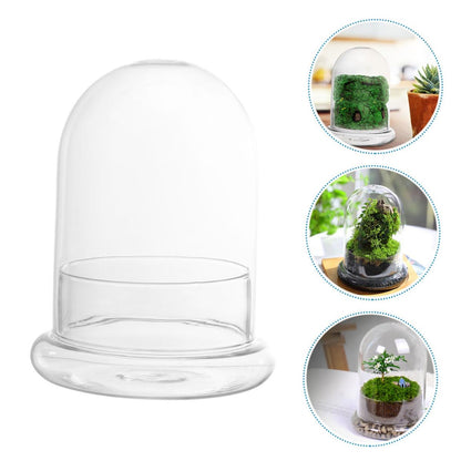 Sosoport Glass Eco Bottle Terrarium Supplies Bell Jar Dome Plant Holder DIY Decor