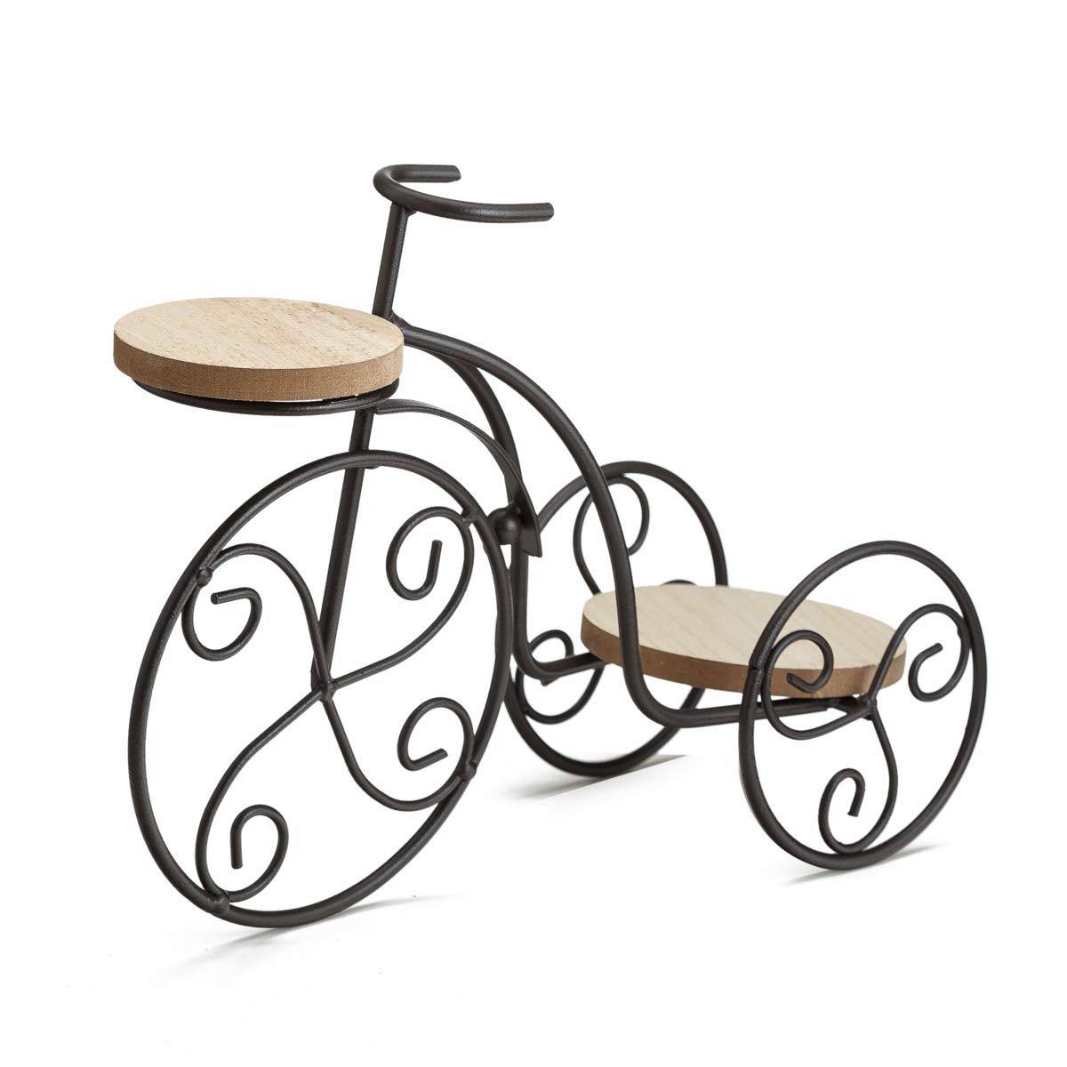 TJ Global 2-Plant Iron Bicycle Plant Stand, Metal Wire Flower Pot Wrought Iron Planter for Plants, Flowers, Garden, Patio, Office, Balcony Outdoor and Indoor Decor