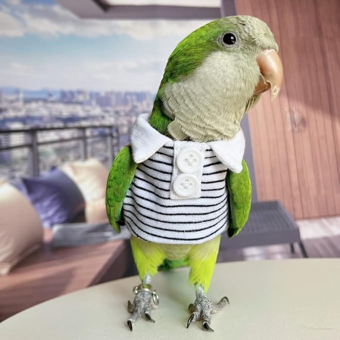 Bird Costume Bird Diaper Flight Suit Bird Summer Clothes Cosplay Photo Prop for Parrots Lovebird Parakeet Cockatiel Small Animals Apparel (with Diaper,Alexandrine)