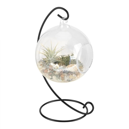 Vistreck Elegant Hanging Glass Vase Terrarium with Iron Frame for Air Plants and Succulents