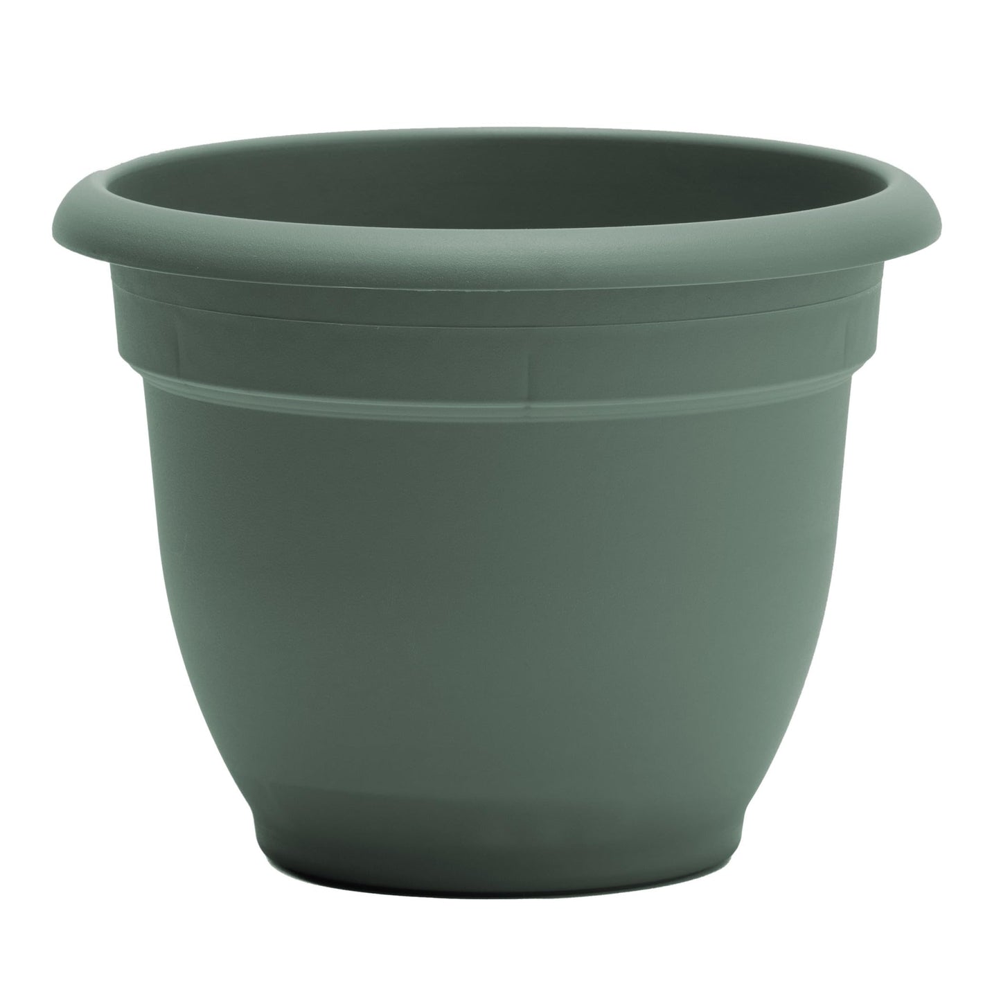 Bloem Ariana 12" Self-Watering Plastic Planter - Rolled Rim Indoor/Outdoor Garden Pot, Basil, 2-Pack