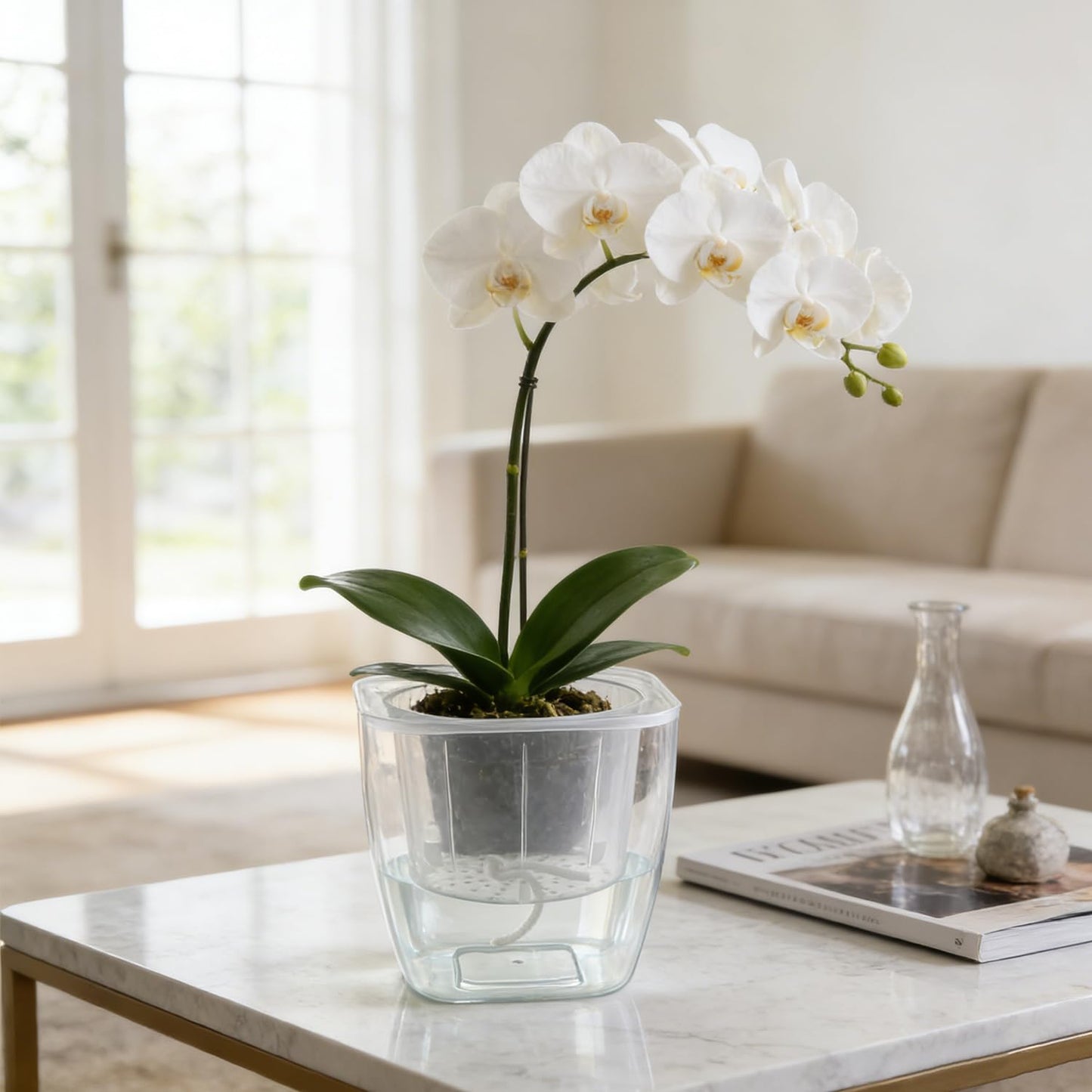 6-Pack 7 Inches Clear Self Watering Planters for Indoor Plants Large African Violet Plant Pots Plastic Wick Flower Pots with Water Injection Hole, Orchid Plant Pot Set, Clear