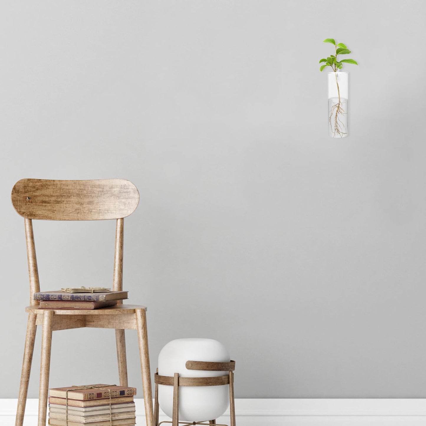 LALAFINA Wall-Mounted Hydroponic Glass Vase Set, Tall Cylindrical Flower Vase Crystal Clay and Invisible Nails, Modern Wall Hanging Terrarium for Indoor Plant Décor