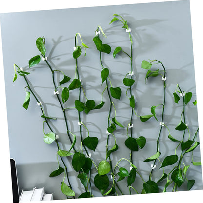 MERRYHAPY 120pcs Plant Wall Sticky Hooks for Climbing Plants Self-Adhesive Vine Clips Easy Installation Fixators for Home Decor
