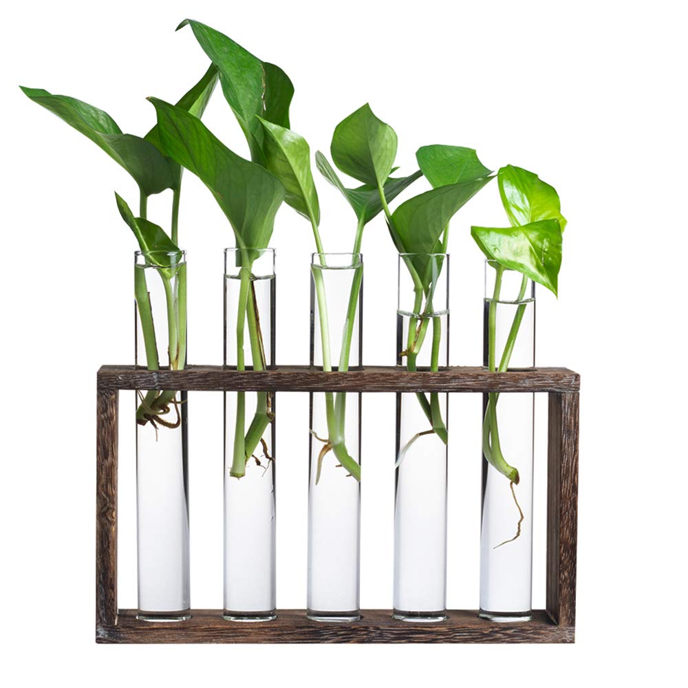 PACDONA 5 Tube Wooden Plant Propagation Station, Tabletop Glass Terrarium Holder for Cuttings Hydroponics, Home Office Desk Decor Gift for Women Mom Plant Lovers, Brown