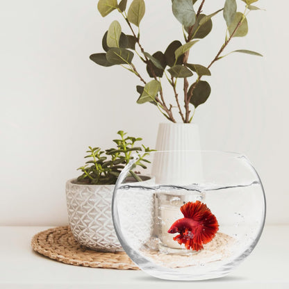 Baluue Round Glass Fish Bowl 5.90 Inch Clear Bubble Vase Terrarium Planter for Hydroponic Plants Flower Display Home Office Decor Compact Design