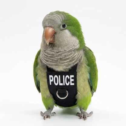Bird Diaper Flight Suit, Cute Cosplay Parrot Clothes, Easy-to-Wear Washable Nappy, Durable Metal Ring Harness for Cockatiel, Conure, African Grey, Parakeet Outdoor Flying (Without Leash,M)