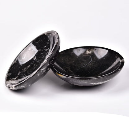 AMOYSTONE Natural Orthoceras Fossil Stone Bowl Round Shaped 4" Rock Bowl