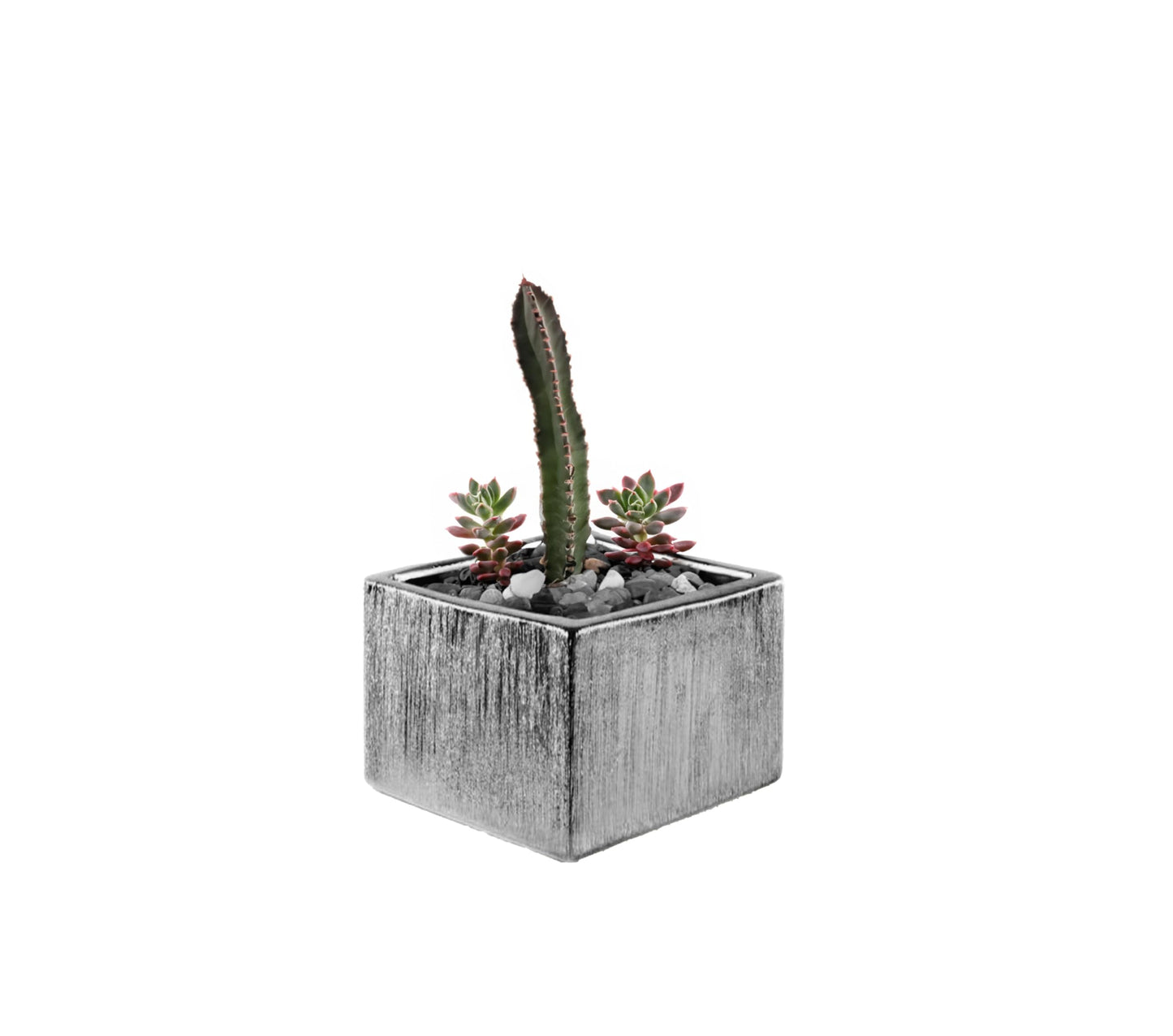 WGVI Silver Scratched Square Ceramic Vase, Width 6", Height 4", Elegant Morden Short Square Pan Floral Planter Terrarium Pot Container Tabletop for Event Accent Home Decor 1 Piece
