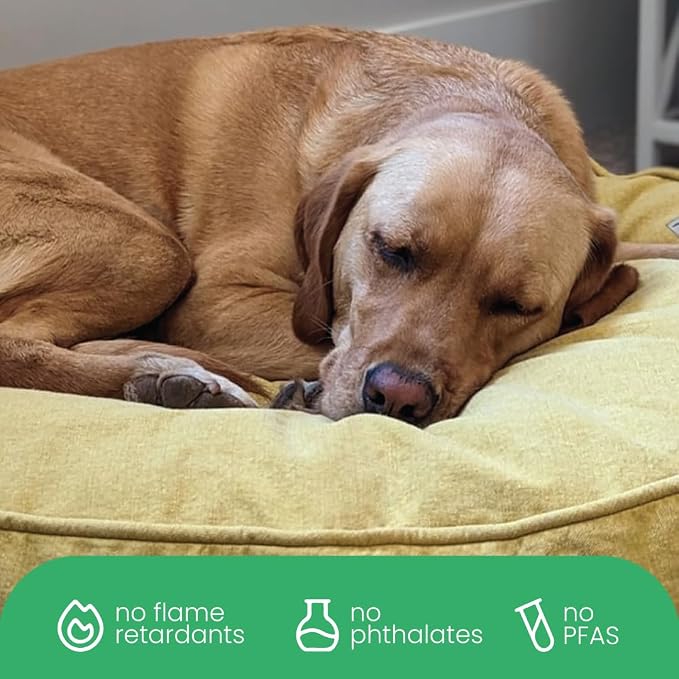 Molly Mutt Elysium Dog Bed Duvet Cover, GOTS-Certified 100% Cotton Canvas Cover for Dog, Puppy, or Cat Bed, Durable, Washable, and Free of Harmful Chemicals, Huge, 36"x45"x5", Yellow