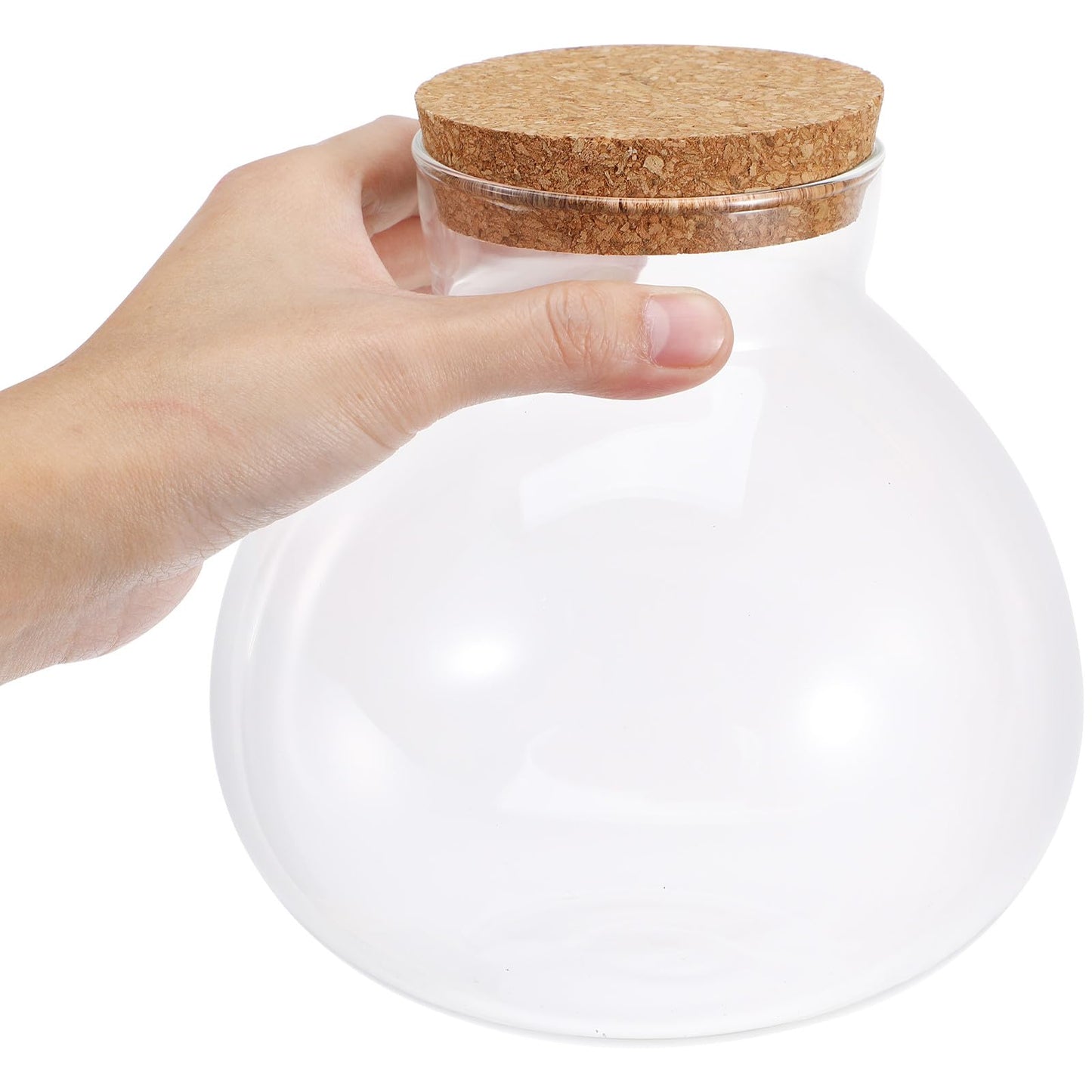 SEWACC Glass Terrarium Jar with Cork Lid, 6 Inch Round DIY Microlandscape Bottle for Plant Terrarium Decor and Airtight Storage, Home Office Kitchen Use