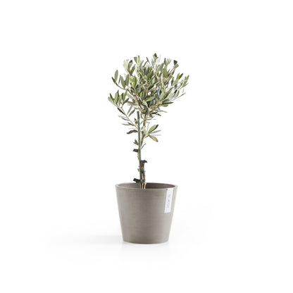 Ecopots Amsterdam Durable Modern Round Indoor/Outdoor Recycled-Based Composite Flower Pot Planter, Taupe, 8"