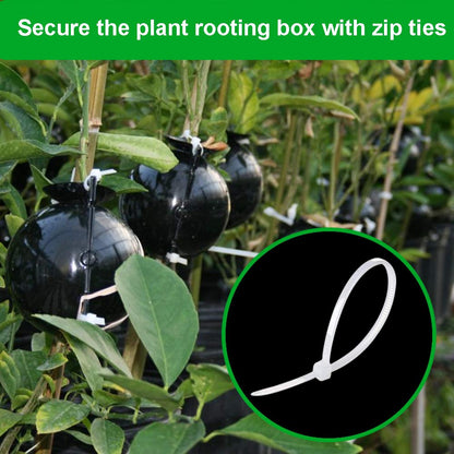 nutroeno 15 pcs Plant Root Growing Box Cloning Ball - Air Layering High Pressure Grafting Propagation Ball, Assisted Cutting Rooting for Plants Asexual Reproduction(M)