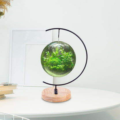 JISADER Terrarium Ornament Display Stand with Wood Base Creative Hanging Hook Glass Globe Holder for Christmas Party Decor Air Plant