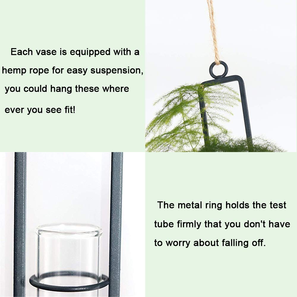 Sziqiqi Glass Propagation Station Test Tube Vases Clear Glass for Cuttings, Buds, Greenery Hydroponic Plant Propagation Home Balcony Bath Wall Decoration Floral Container Set of 3 Black