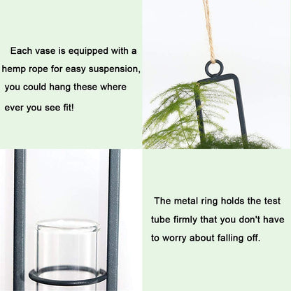 Sziqiqi Glass Propagation Station Test Tube Vases Clear Glass for Cuttings, Buds, Greenery Hydroponic Plant Propagation Home Balcony Bath Wall Decoration Floral Container Set of 3 Black