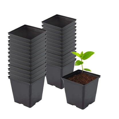 TopoGrow 1/2 Gallon Square Nursery Pots 24PCS Black Thick Durable Plastic Flower Pots with Drainage Holes, Reusable Seedling propogation Starter Pots for Indoor Plants, Transplanting, Succulents
