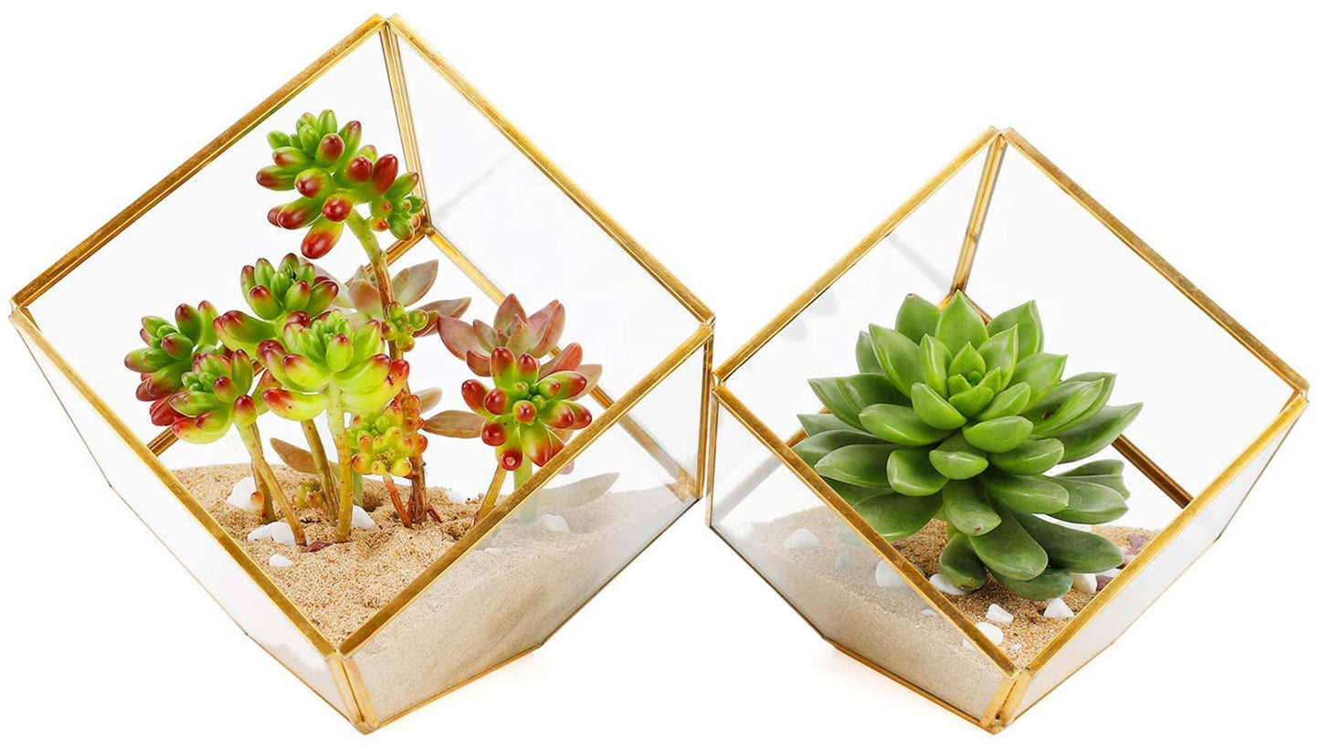 ELEGANTLIFE Glass Geometric Plant Terrarium,Succulent & Air Planter for Home Garden Office Decoration(Gold Cubic Set of 2)