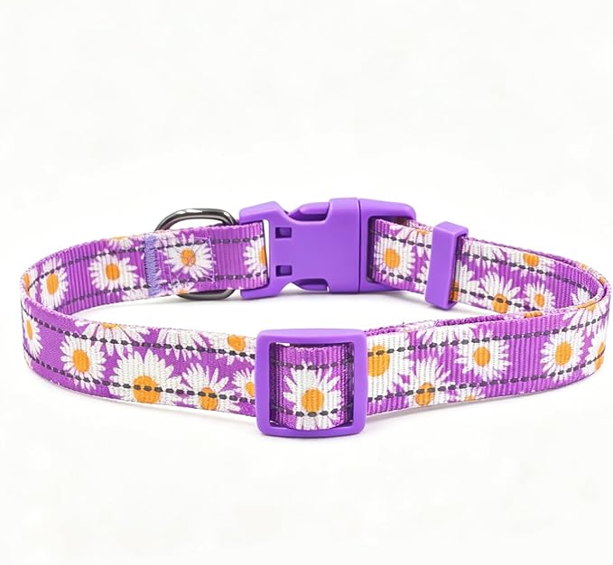 Dog Collar Leash Set, Floral Pattern, with Safety Reflective Strips, 5 ft Matching Leash, Neoprene Padded Handle, Adjustable 4 Sizes for Small Medium Large Dogs.(L, Purple Daisy)