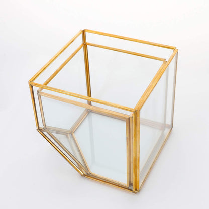 ELEGANTLIFE Glass Geometric Plant Terrarium,Succulent & Air Planter for Home Garden Office Decoration(Gold Cubic Set of 2)