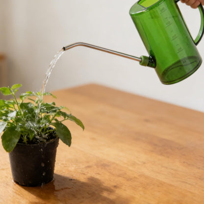 Goose Neck Watering Can, 1L/1000ml Watering Can for Indoor Plants Clear Plastic Water Can with Stainless Steel Long Spout for Home Office(Green)