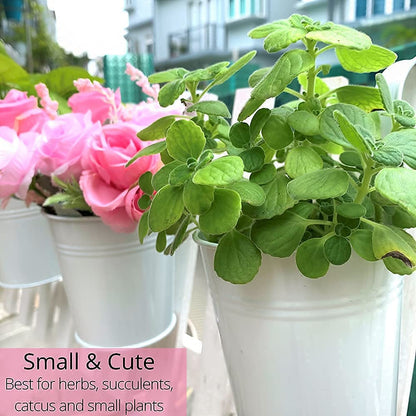 ShopLaLa Bundle - 4 Inch Metal Pots + 2 Wooden Plants Holders, Great Value Pack to Create Vertical Garden, Herb Planters, Green Wall, Vertical Planters