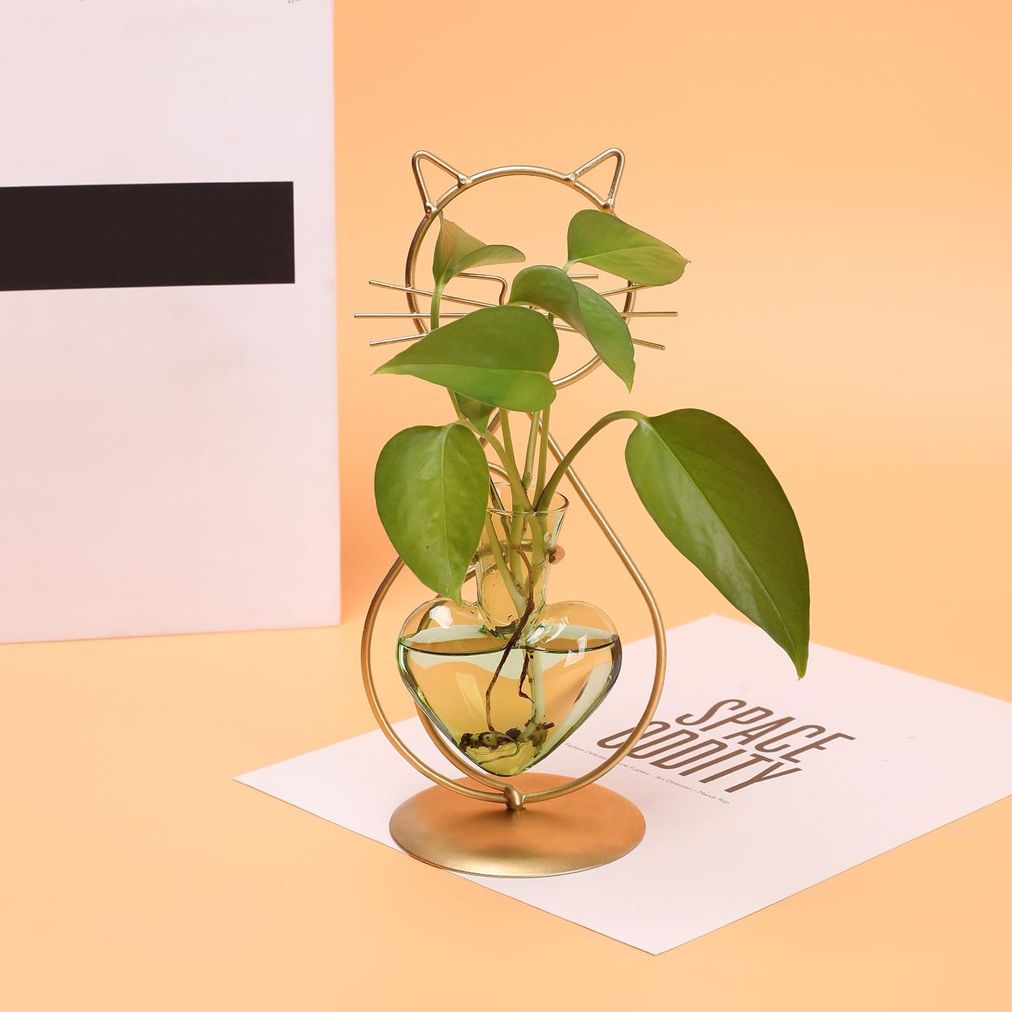 Plant Terrarium Plants Propagation Station Cat Lover Gifts for Women Home Office Decor Cat Desk Accessories