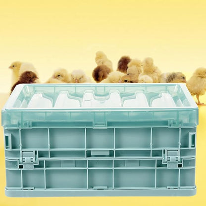 KESYOO 1Set Parrot Brooder Box with Heating Pad Chick Incubator for Young Birds Foldable and Spacious Design Safe Materials for Healthy Breeding Supplies