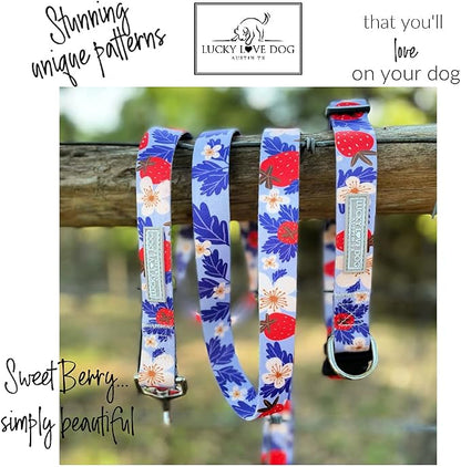 Lucky Love Dog Martingale Collar, Premium Fun Girl No Slip Collars, Strawberry Martingale Medium Dog Collar, Great for Whippets, Greyhounds, and More (Sweet Berry, Medium)