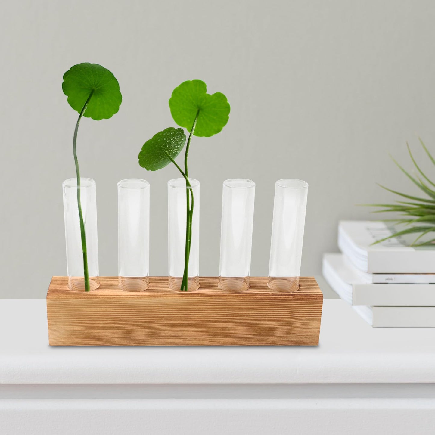 minkissy Hydroponic Plant Vase Glass Planter with 5-Hole Wooden Stand for Indoor Desktop Terrarium and Plant Propagation Home Office Décor