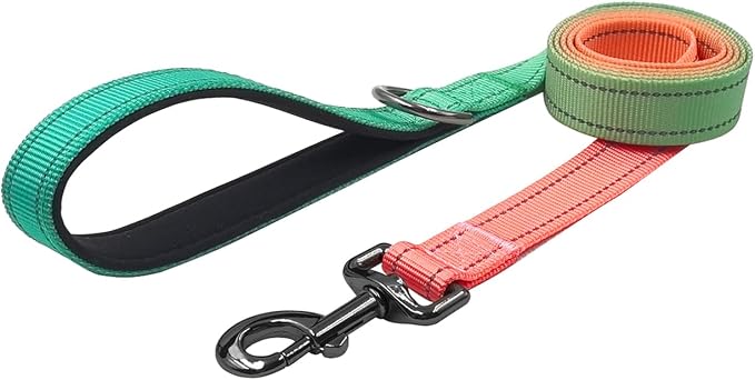 Dog Collar Leash Set, Gradient Color, with Safety Reflective Strips, 5 ft Matching Leash, Neoprene Padded Handle, Adjustable 4 Sizes for Small Medium Large Dogs.(S, Green Orange)