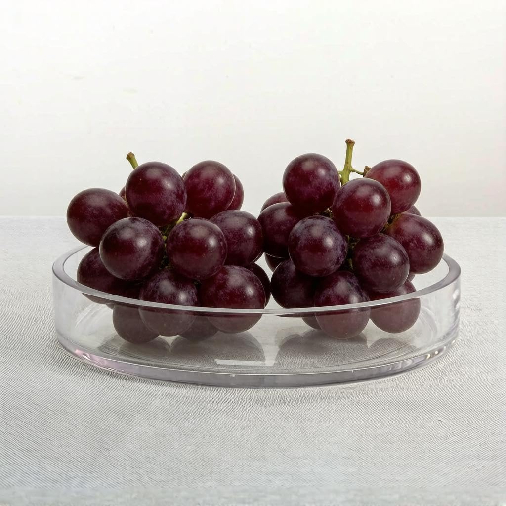 CYS Excel Clear Wide Glass Cylinder Vase (H:1.5" D:7.5") Flower Vase Centerpieces Hurricane Floating Pillar Candle Holder Terrarium Planter