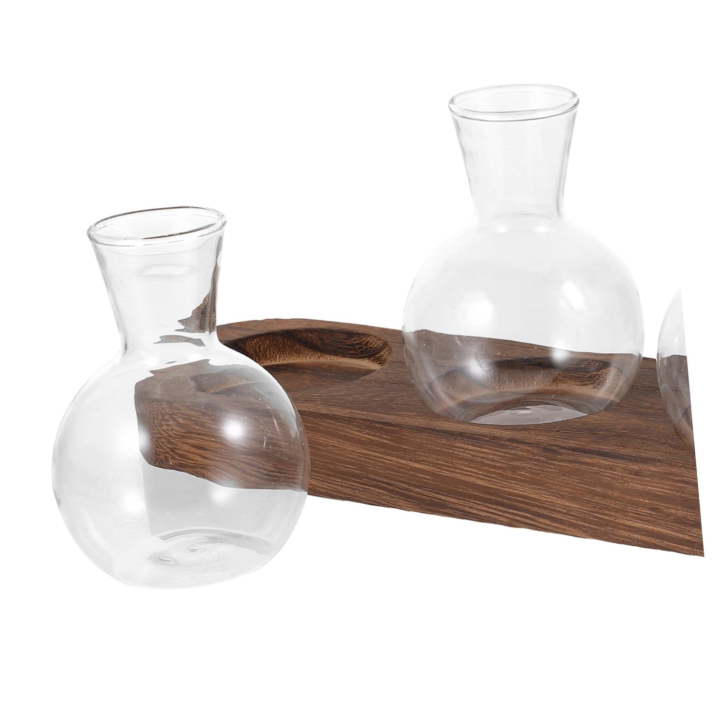 IWOWHERO Elegant Green Pothos Plant Container Glass Vase with Simple Design for Home Office Decor