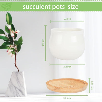 SHECIPIN Succulent Pots, White Mini 2.5 inch Ceramic Flower Planter Pot with Bamboo Tray, Pack of 12 - Plants Not Included