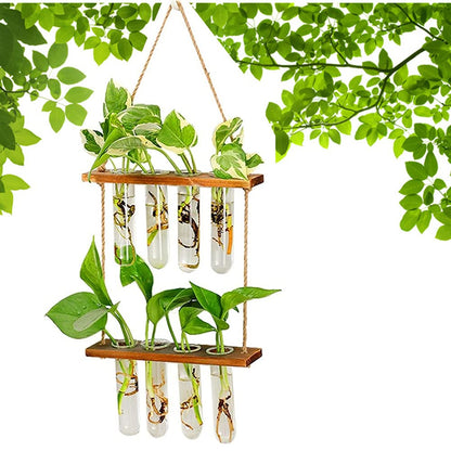 Hiuxume 2 Tiered Wall Hanging Planter, Wooden Stand with Glass Planter Test Tube Vase for Hydroponic Plant Propagation, Perfect for Indoor and Outdoor Decor