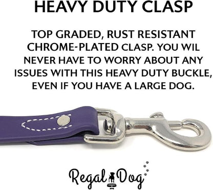 Regal Dog Products Small Purple Waterproof Dog Collar and Leash Set | Heavy Duty Double Buckle & D Ring - 5'ft Leash | Adjustable Biothane Dog Collar | Chew Resistant Waterproof Collar for Dogs
