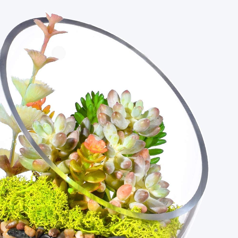 Ecosides 6.9”X5.5 Clear Glass Bowls Slanted Clear Vase Terrarium Jar Round Globe Wide Glass Cut Bubble Bowl Put Candies,Plant,Flowers,Fruit
