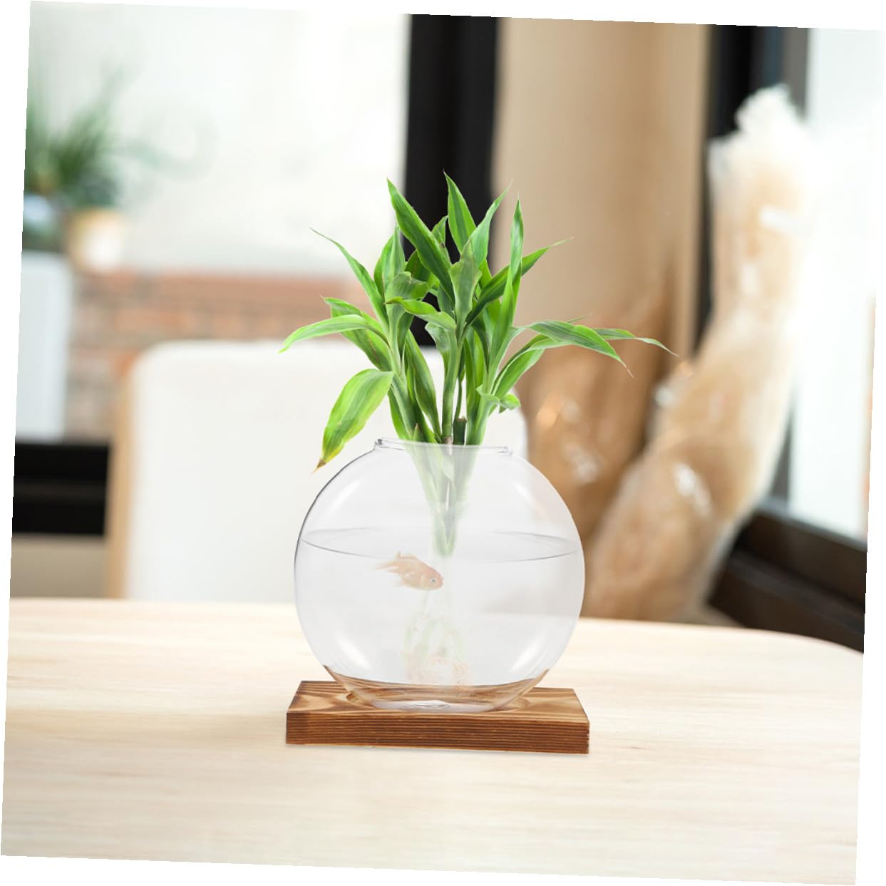 EXAOMBLE 2pcs Hydroponic Glass Vase with Wooden Base, Glass Flower Pot for Plant Propagation, Indoor Terrarium Planter for Home and Office Décor
