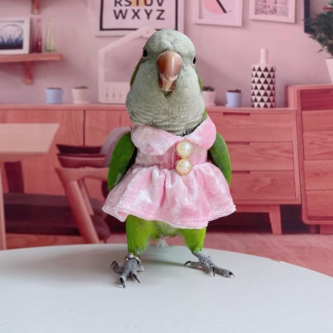 Bird Costume Bird Diaper Flight Suit Parrot Velvet Fleece Skirt Clothes Cosplay Photo Prop for Conure Lovebird Parakeet Cockatiel Macaw Small Animals Apparel (White,2M)