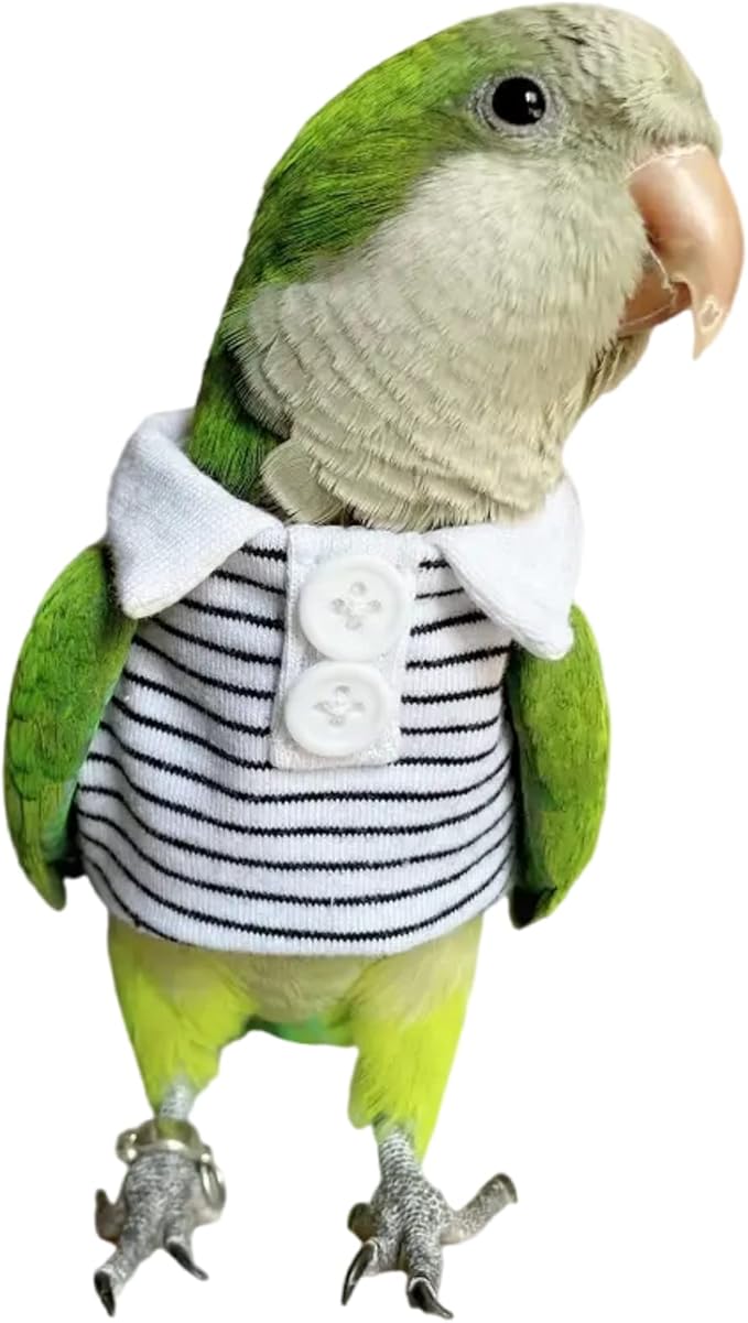 Bird Costume Bird Diaper Flight Suit Bird Summer Clothes Cosplay Photo Prop for Parrots Lovebird Parakeet Cockatiel Small Animals Apparel (Without Diaper,Alexandrine)