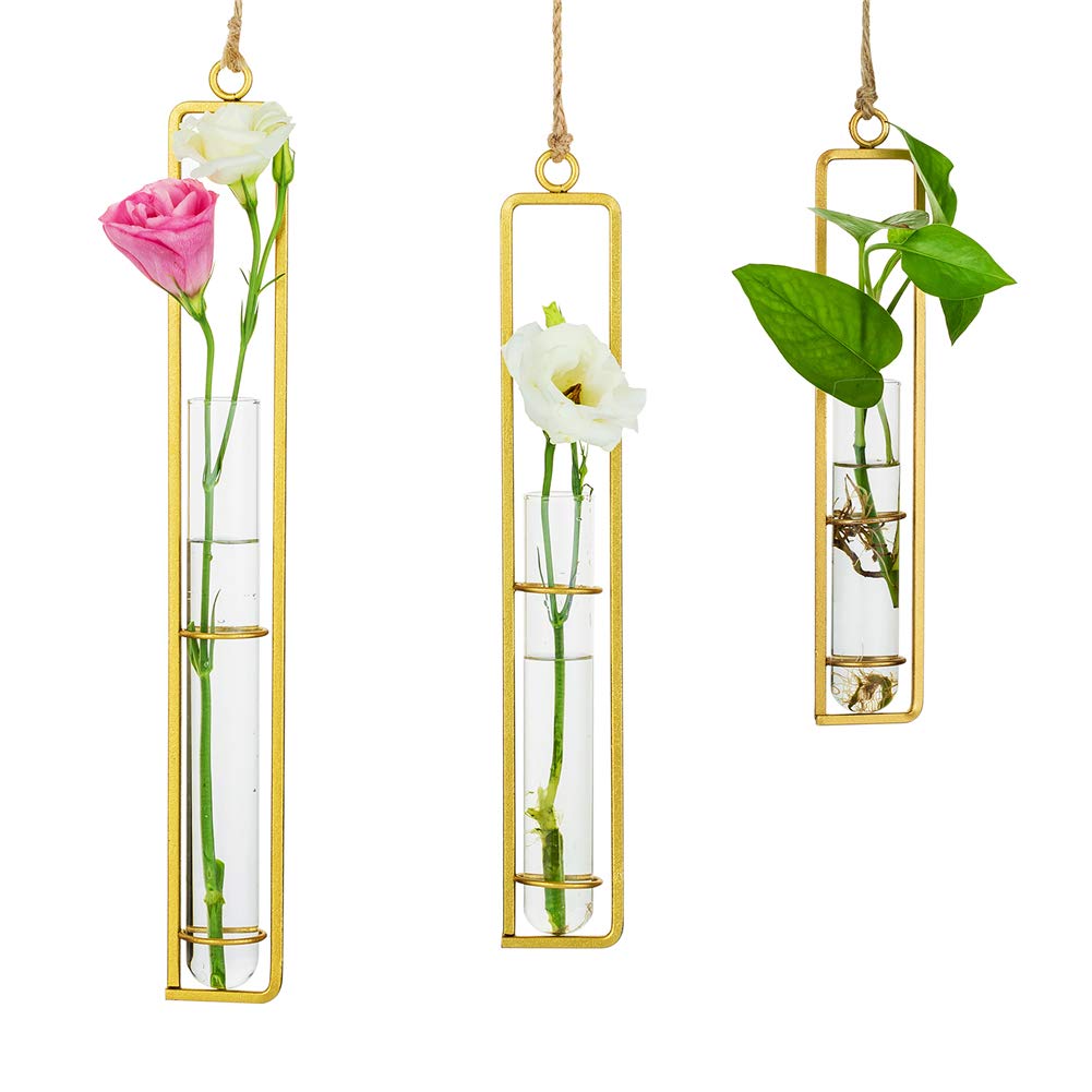 Sziqiqi Glass Propagation Station Test Tube Vases Clear Glass for Cuttings, Buds, Greenery Hydroponic Plant Propagation Home Balcony Bath Wall Decoration Floral Container Set of 3 Gold