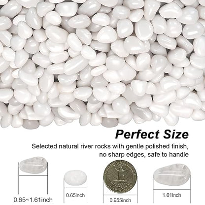 Succulent Rocks,Virekm River Rocks,Decorative Ornamental Pebbles,Garden Landscaping Stones,Gravel Filler for Home Decoration Flower Bed Fish Tank Plants Vases Succulents (1, White, 2 Pounds)