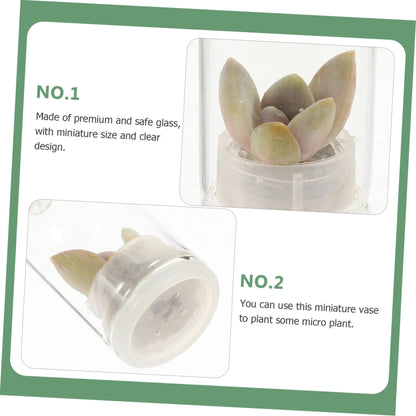 GALPADA 6pcs Key Chain Keychain Charm Keychain Accessories Decor Plants Plant Keychain Hanging Terrarium Large Home Keychain Vase Jar Clear Vase Car Miniature Hanging Planters Bulb Glass
